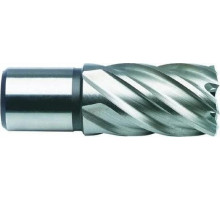 Сверло по металлу корончатое D.BOR (3/4''), HSS 31х55 мм с хв. weldon 19 мм D-CD-HSS-055-031-W