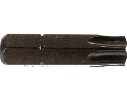 Бита для заворачивания D.BOR TORX 40, 25 мм (арт. d-t40-025-010) (10 шт.) D06-DT40025010