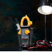Клещи токоизмерительные MASTECH MS2030 (13-1305)