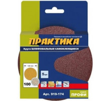Круг шлифовальный на липучке ПРАКТИКА 125 мм, P100 без отверстий (5шт.) 919-174