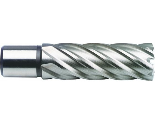 Сверло по металлу корончатое D.BOR (3/4''), HSS-Co, 13,0*55/70 мм с хв. weldon 19 мм W-041-474130202D