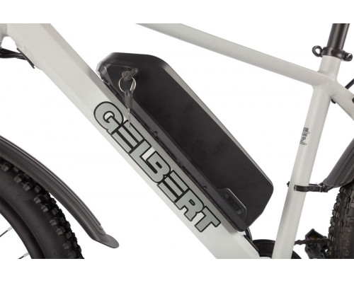 Электровелосипед GELBERT Ran 3 PRO Зеленый 0000353-2977