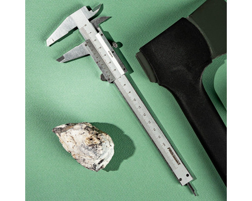 Штангенциркуль REXANT ШЦ-150 мм 12-9101-2
