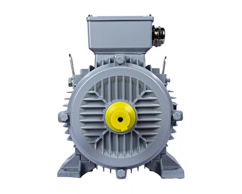 Электродвигатель ESQ PR 200 L4 GST-Б1-S12-IE2 IM 2001 45/1500