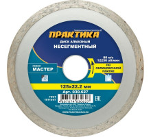 Алмазный диск для резки керамики ПРАКТИКА Мастер несегментный 125х22 мм. 030-627