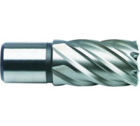 Сверло по металлу корончатое D.BOR (3/4''), HSS-Co, 55,0*30/55 мм с хв. weldon 19 мм W-041-474550102D