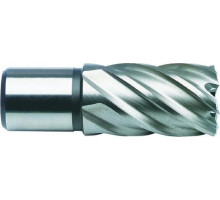 Сверло по металлу корончатое D.BOR (3/4''), HSS-Co, 55,0*30/55 мм с хв. weldon 19 мм W-041-474550102D