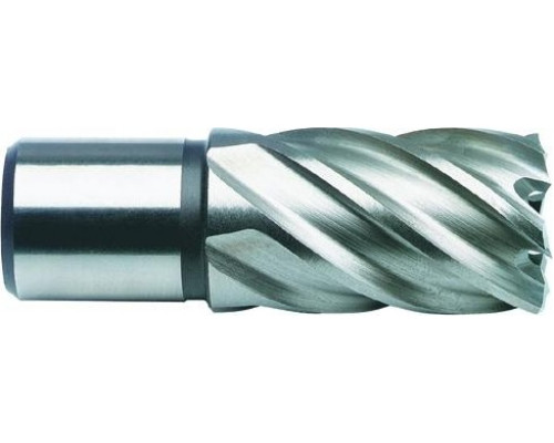 Сверло по металлу корончатое D.BOR (3/4''), HSS-Co, 55,0*30/55 мм с хв. weldon 19 мм W-041-474550102D