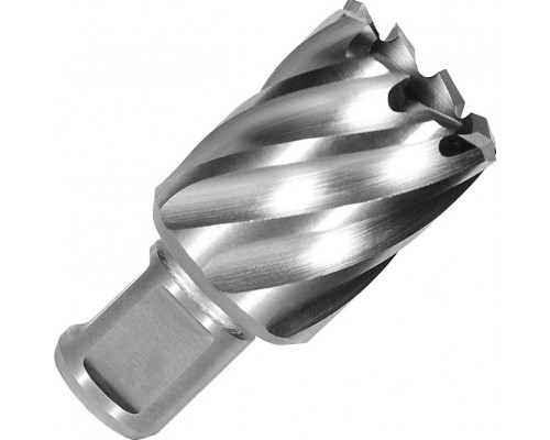 Сверло по металлу корончатое D.BOR с хв. Weldon 19 мм (3/4''), HSS-Co 30*30/63 D-CD-CO8-030-030-W