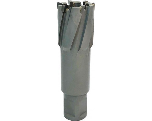 Сверло по металлу Профоснастка D25 L=55/92 мм №318 WELDON19 TCT корончатое 40105018