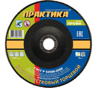 Круг лепестковый ПРАКТИКА шлифовальный 150х22 мм Р 80, серия Профи 919-280