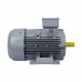 Электродвигатель ESQ PR 200 L4 GST-Б1-S12-IE2 IM 2001 45/1500