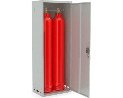 Шкаф для газовых баллонов ШГР 40-2 4, окрашен RAL 7035