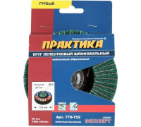 Круг комбинированный абразивный ПРАКТИКА 125 мм М14 грубый 779-752 779-752