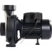 Насос поверхностный UNIPUMP CPM 3000Q центробежный консольный 45483