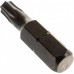 Бита для заворачивания D.BOR TORX 25, 25 мм (арт. d-t25-025-010) (10 шт.) D06-DT25025010