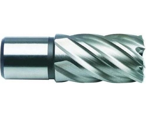 Сверло по металлу корончатое D.BOR (3/4''), HSS 12х55 мм с хв. weldon 19 мм D-CD-HSS-055-012-W