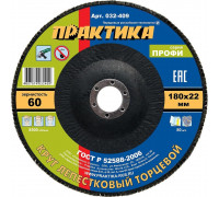 Круг лепестковый ПРАКТИКА 180х22.2 мм P 60 032-409