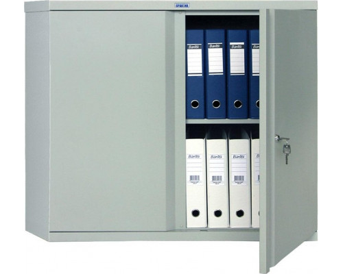Шкаф для офиса ПРАКТИК AM 0891