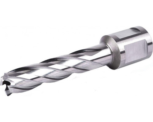 Сверло по металлу Профоснастка D12 L=55/88 мм №01 WELDON19 HSS M2 корончатое 40101001