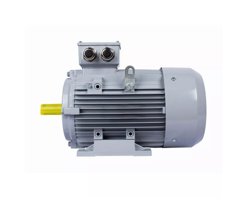 Электродвигатель ESQ PR 200 L4 GST-Б1-S12-IE2 IM 2001 45/1500