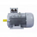 Электродвигатель ESQ PR 200 L4 GST-Б1-S12-IE2 IM 2001 45/1500