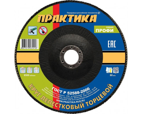 Круг лепестковый ПРАКТИКА шлифовальный 180х22 мм Р60, серия Профи 032-409