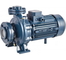 Моноблочный насос PURITY PSTC 32-200/30 100588136