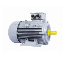 Электродвигатель ESQ PR 200 L4 GST-Б1-S12-IE2 IM 2001 45/1500 01.01.224184