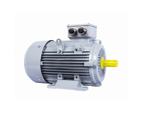 Электродвигатель ESQ PR 200 L4 GST-Б1-S12-IE2 IM 2001 45/1500