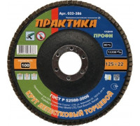 Круг лепестковый ПРАКТИКА 125х22.2 мм P100 032-386 032-386