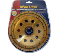 Алмазная чашка ПРАКТИКА двухрядная (бетон) 180х22.23 030-962 030-962