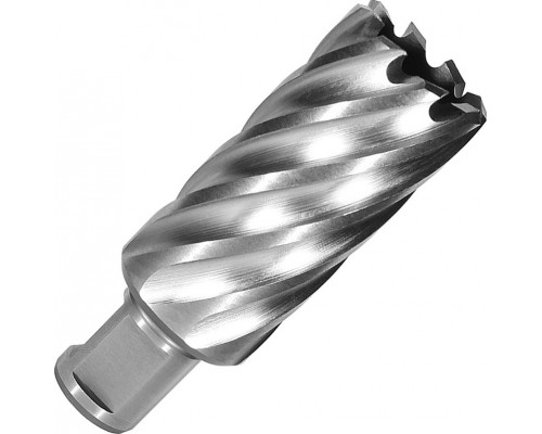 Сверло по металлу корончатое D.BOR с хв. Weldon 19 мм (3/4''), HSS-Co 17*55/88 D-CD-CO8-055-017-W