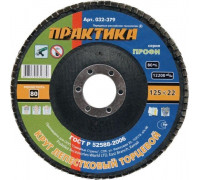 Круг лепестковый ПРАКТИКА 125х22.2 мм P 80 032-379 032-379