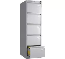 Картотека ПРАКТИК AFC-05 S20299050102