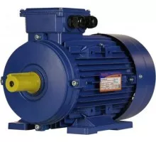Электродвигатель 5Аи 100 S4 3/1500 IM 1081 01.01.213667
