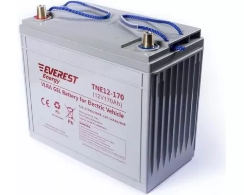 Аккумуляторная батарея EVEREST Energy TNE 12-170 Аккумуляторная батарея EVEREST Energy TNE 12-170