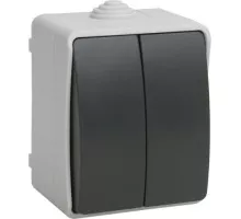 Выключатель двухклавишный IEK Форс ВС20-2-0-ФСр 10А IP54 серый EVS20-K03-10-54-DC