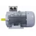 Электродвигатель ESQ PR 100 LB4-SDN-Б1-S12-IE2 IM B3 3/1500 01.05.02.000043