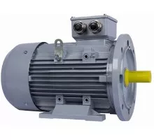 Электродвигатель ESQ PR 112 M4-SDN-Б1-S12-IE2 IM B35 4/1500 01.05.02.000046