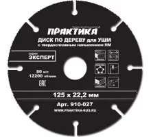 Твердосплавный диск универсальный ПРАКТИКА 125х22.2 мм для УШМ 910-027