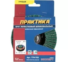 Круг комбинированный абразивный ПРАКТИКА 125 мм М14 грубый 779-752 779-752