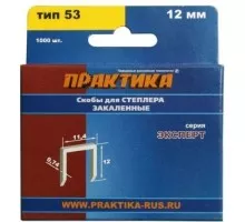 Скоба ПРАКТИКА серия Эксперт, 12 мм, Тип 53 (1000 шт) 775-396