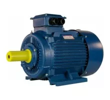 Электродвигатель 5Аи 160 М4 18.5/1500 IM 1001 01.01.213698