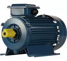 Электродвигатель 5Аи 90 L2 3/3000 IM 1081 01.01.213461