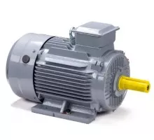 Электродвигатель ESQ PR 160 S2 GST-Б1-S12-IE2 IM 1001 15/3000 01.01.223771