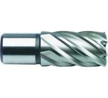 Сверло по металлу корончатое D.BOR (3/4''), HSS-Co, 60,0*30/55 мм с хв. weldon 19 мм  W-041-474600102D