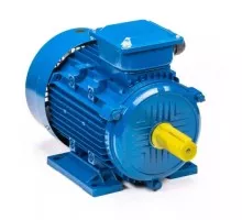 Электродвигатель 5Аи 100 L8 1.5/750 IM 1081 01.01.213553