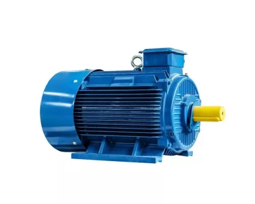 Электродвигатель 5Аи 315 М8 110/750 IM 1001 [01.01.213561]