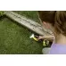 Ножницы для травы аккумуляторные KARCHER GSH 18-20 Battery [1.444-200.0]